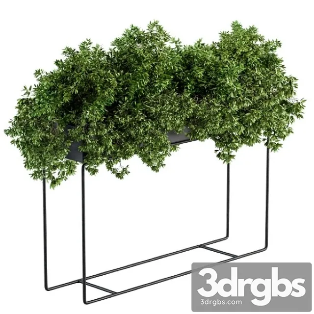 Black Box Plants on Stand Set 80 3D Model Free