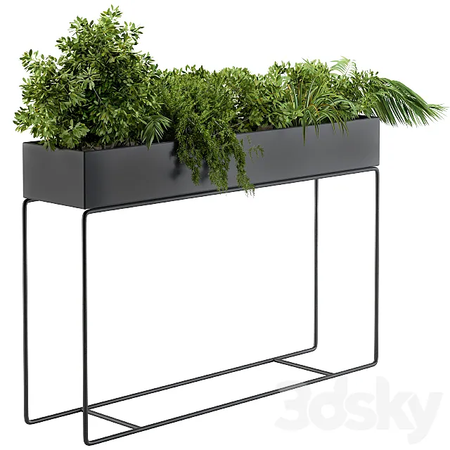 Black Box Plants on stand02 3DModel