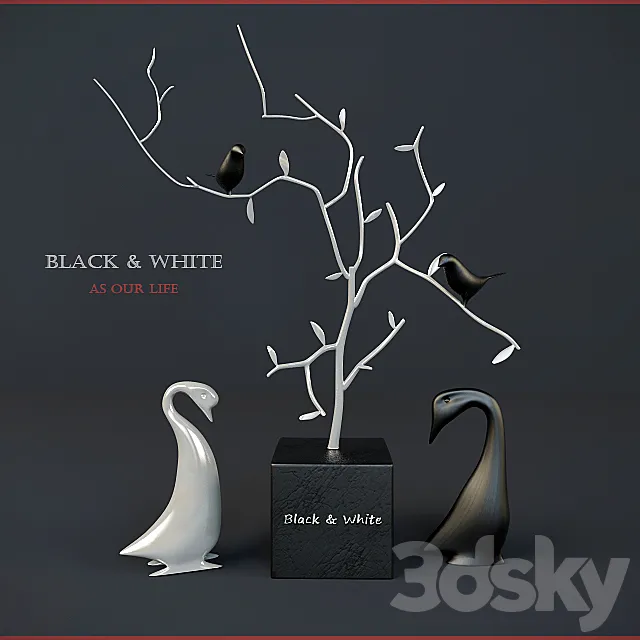 Black & White birds 3D Model