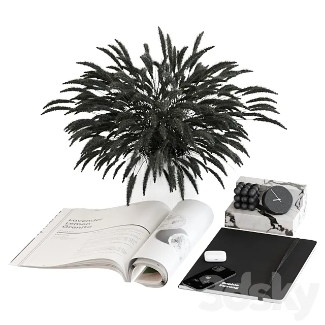 Black & white decorative set 3DModel