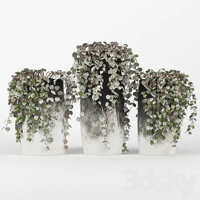 Black & White Ombre Cylinder Vase 3D Model