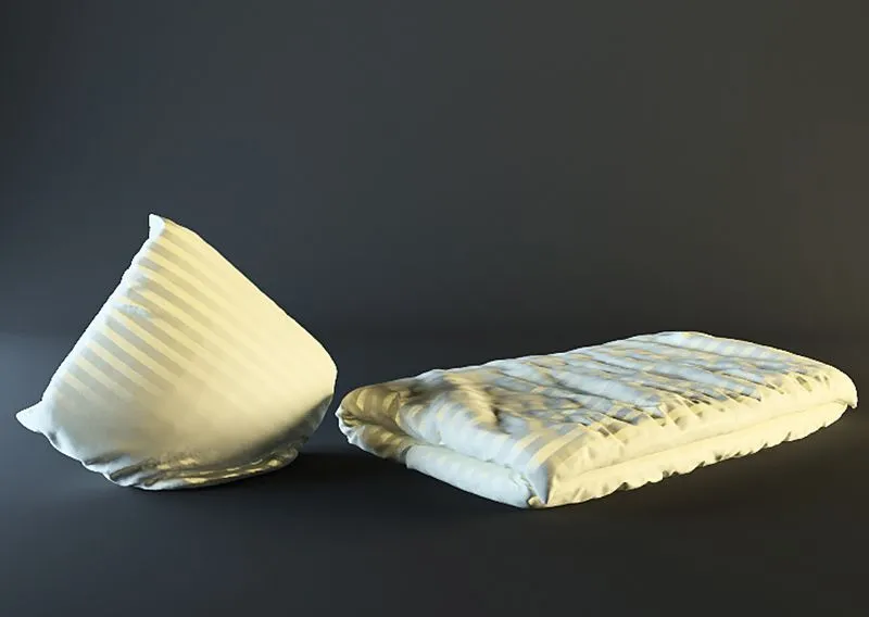 Blanket + pillow 3D Model