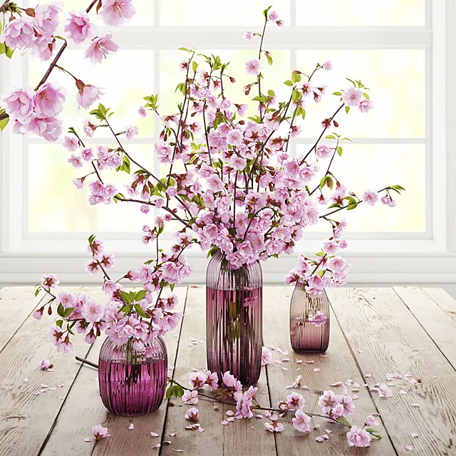 Blooming cherry 3DModel