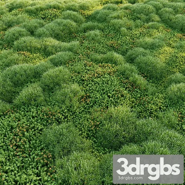 Blooming Moss 2 3D Model Free