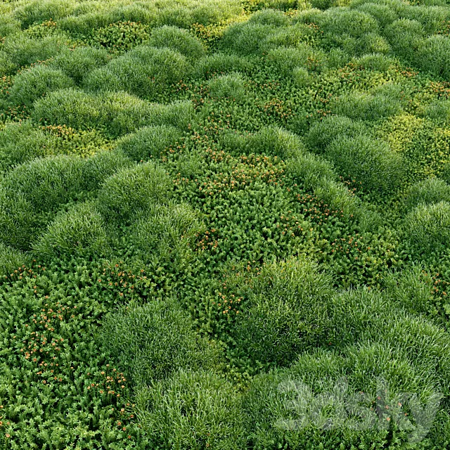 Blooming moss 2 Free Download
