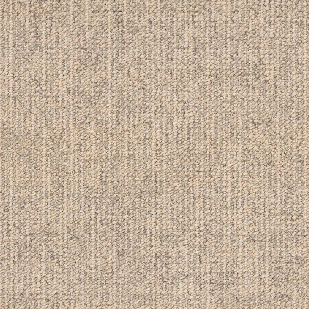 BLOQ - Carpeting Canvas_145 3D Model