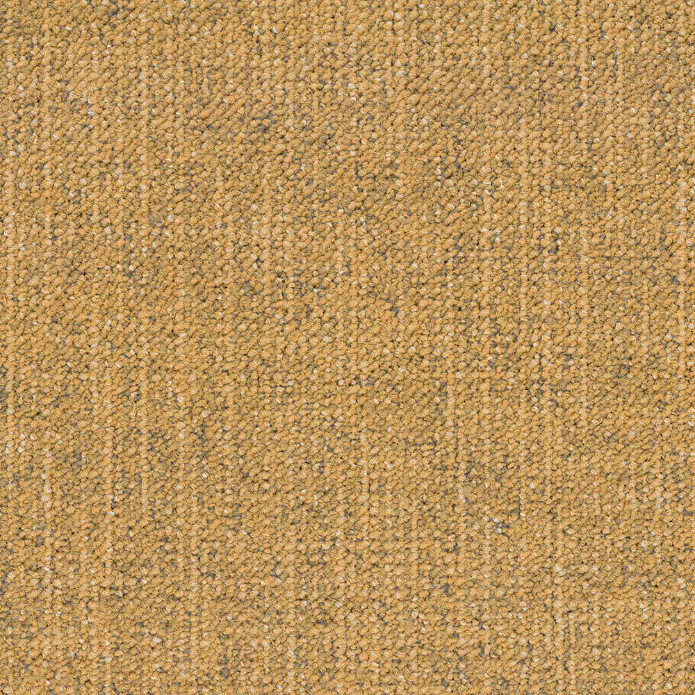 BLOQ - Carpeting Canvas_225 3D Model