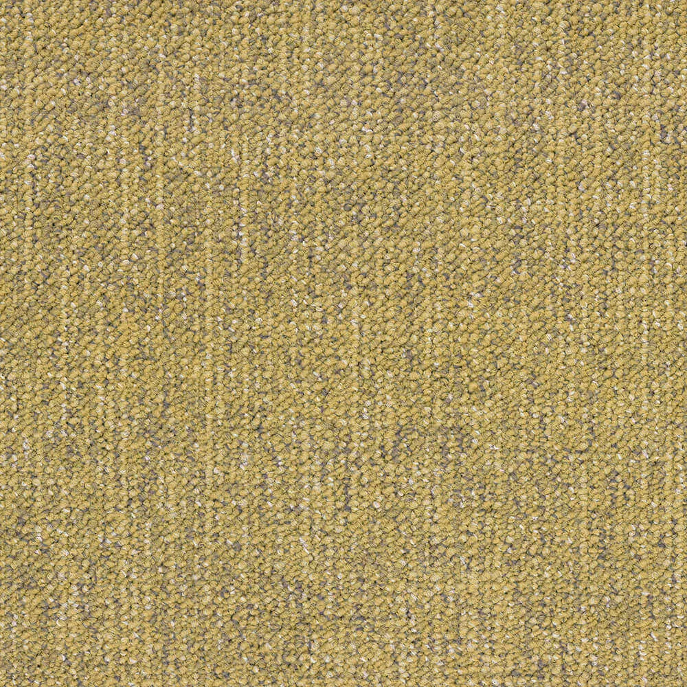 BLOQ - Carpeting Canvas_230 3D Model