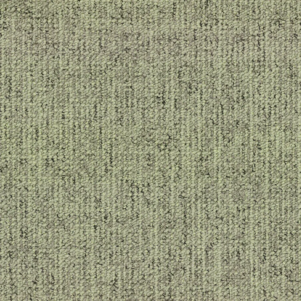 BLOQ - Carpeting Canvas_625 3D Model