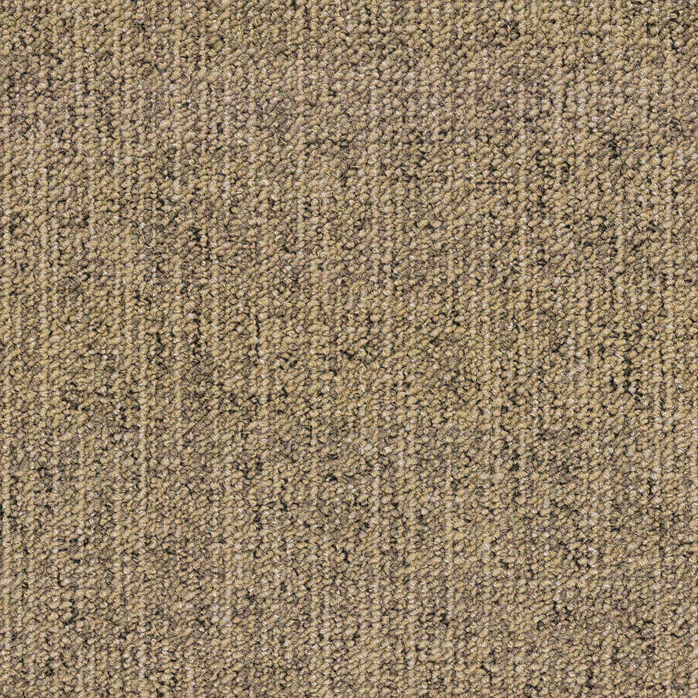 BLOQ - Carpeting Canvas_815 3D Model