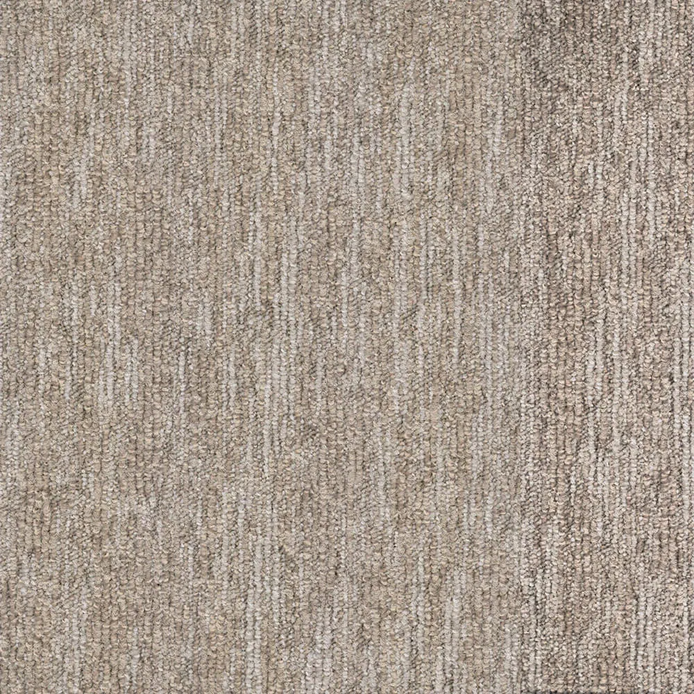 BLOQ - Carpeting Grain_123 3D Model