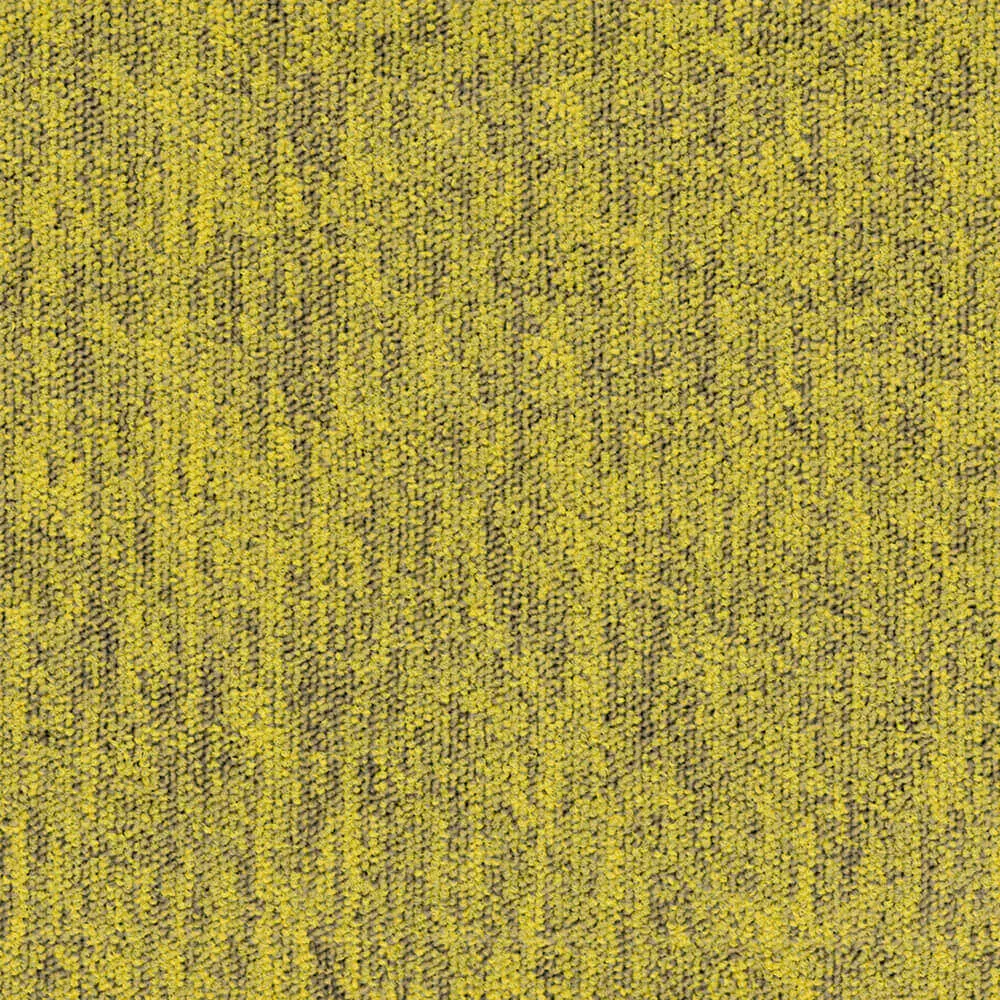 BLOQ - Carpeting Tradition_205 3D Model