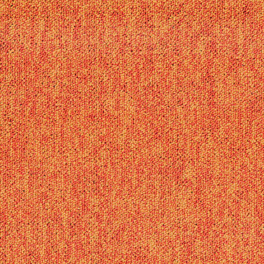 BLOQ - Carpeting Tradition_210 3D Model