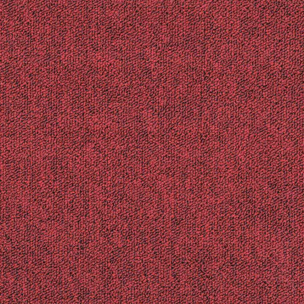 BLOQ - Carpeting Tradition_305 3D Model
