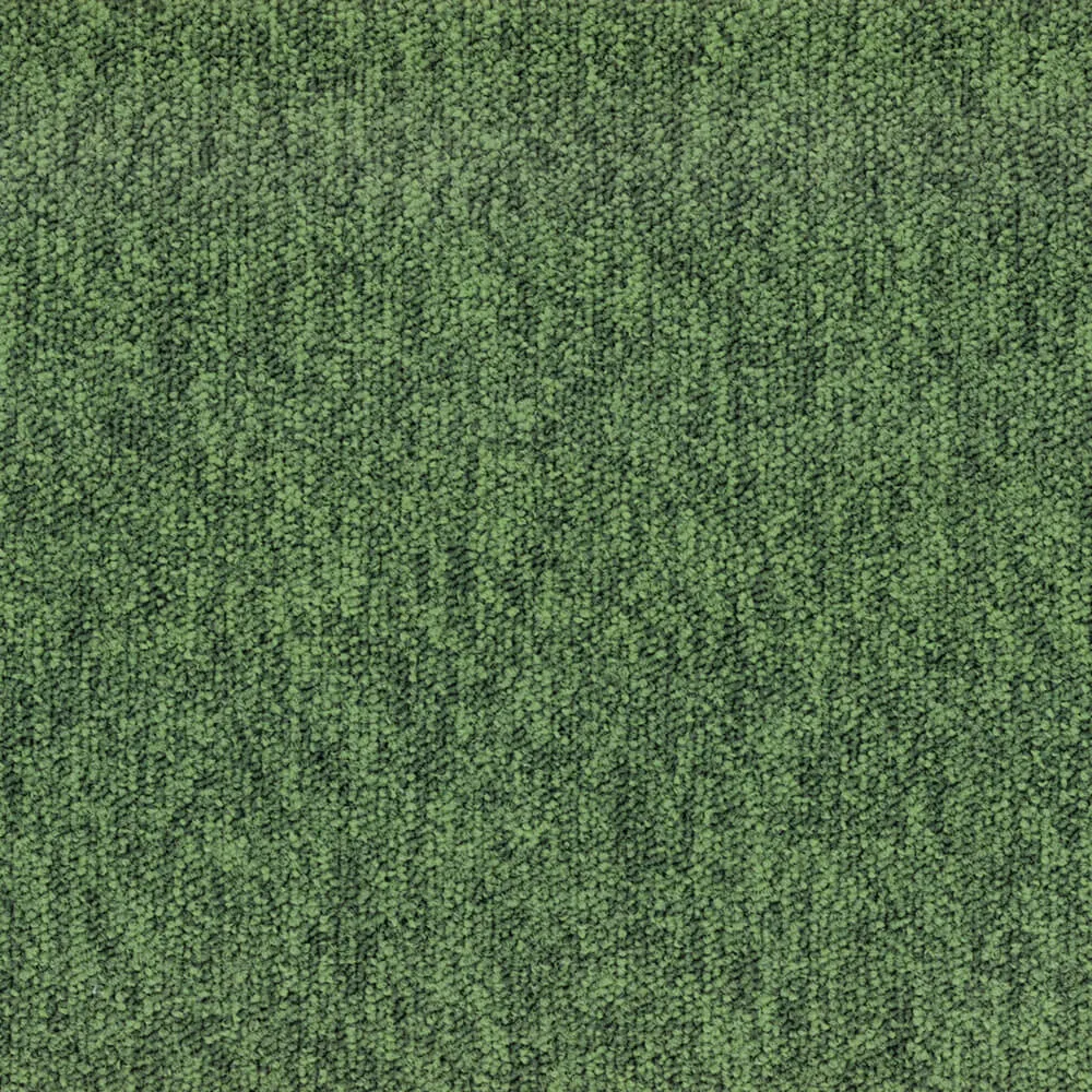 BLOQ - Carpeting Tradition_615 3D Model