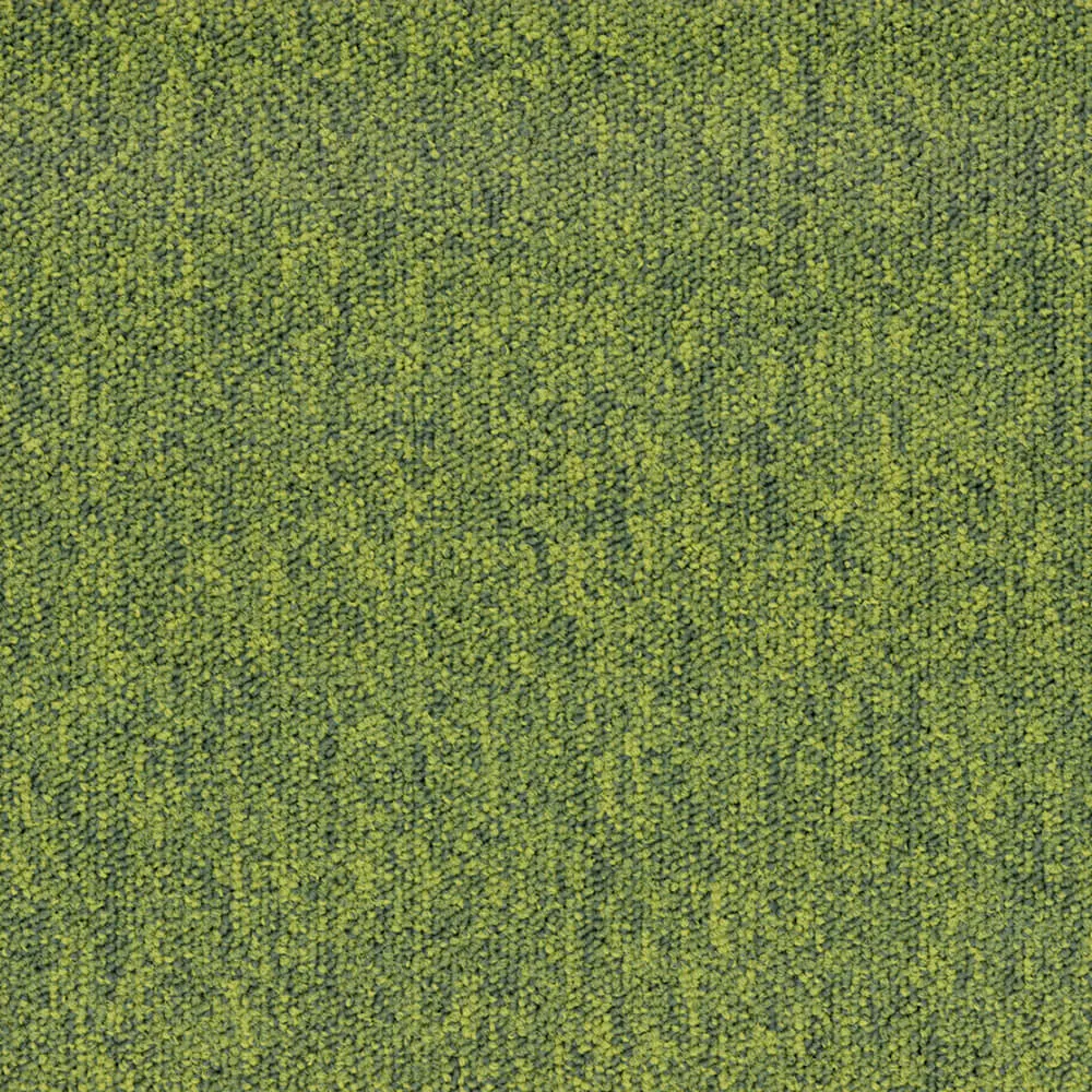BLOQ - Carpeting Tradition_620 3D Model