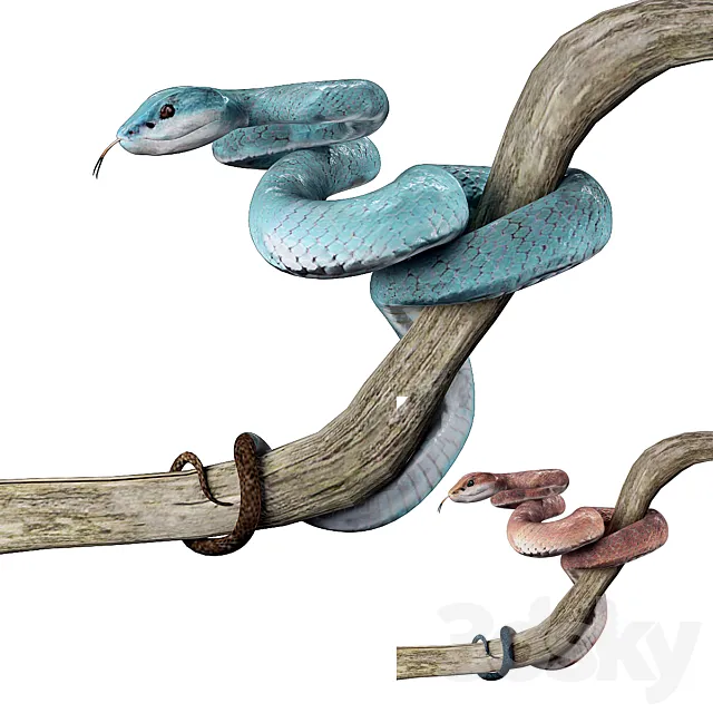 Blue island viper 3D Model