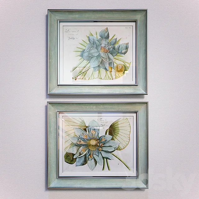 Blue Lotus Flower pictures 3D Model