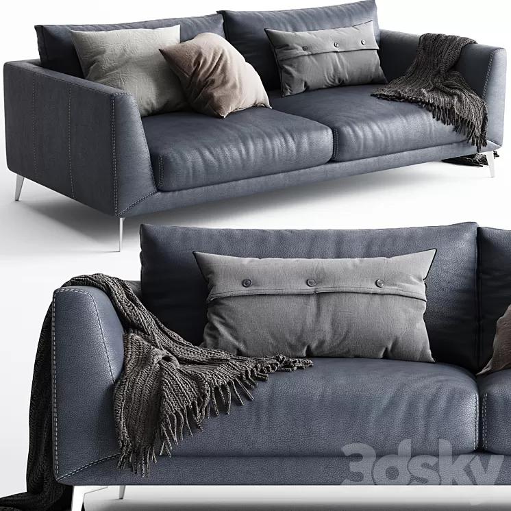 BoConcept Fargo Sofa 2 Seats 3D Model
