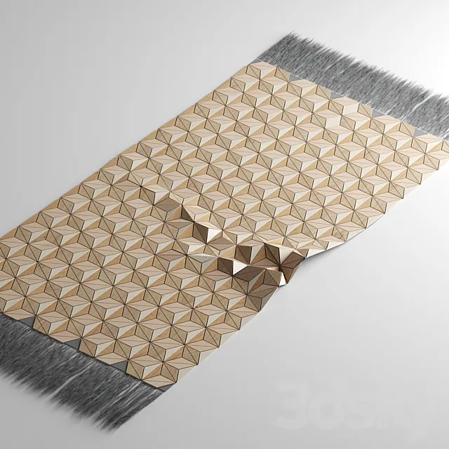 Boewer Wooden Carpet 3D Model