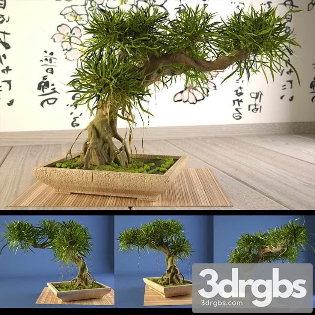 Bonsai 11 3D Model Free