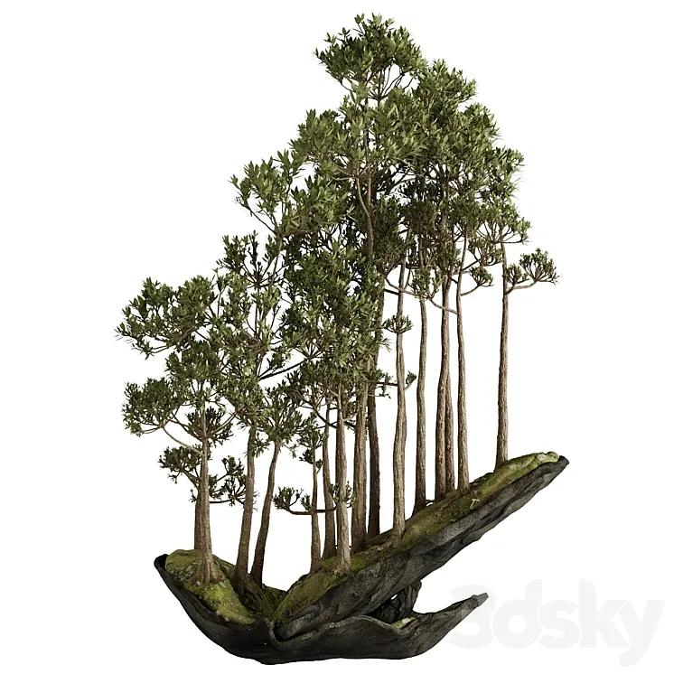Bonsai 2 3D Model Free