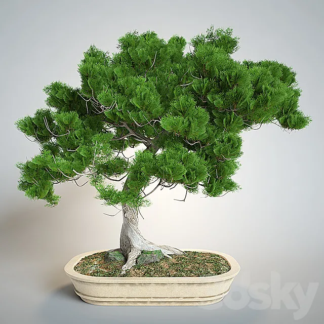 Bonsai Free Download