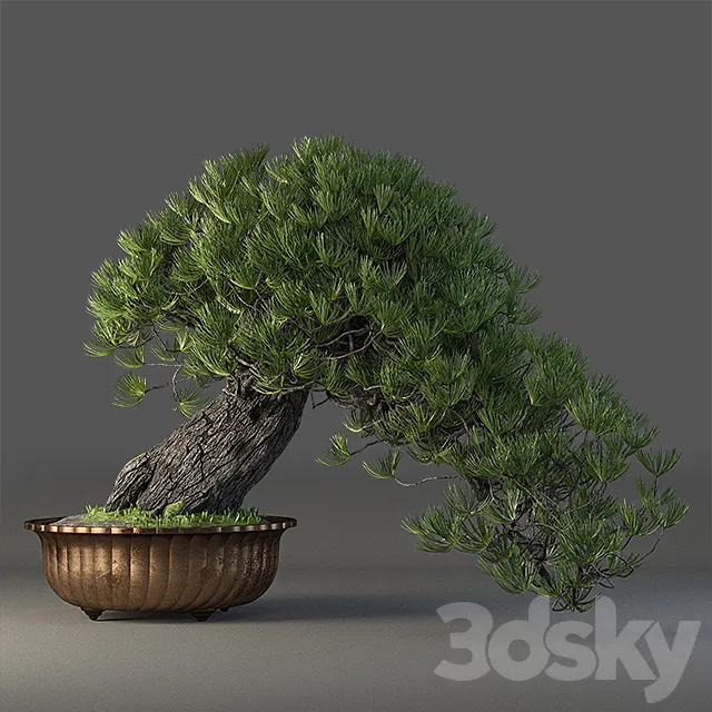 Bonsai 3DModel