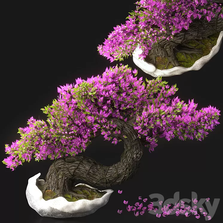 Bonsai Flower Set-13 3D Model Free