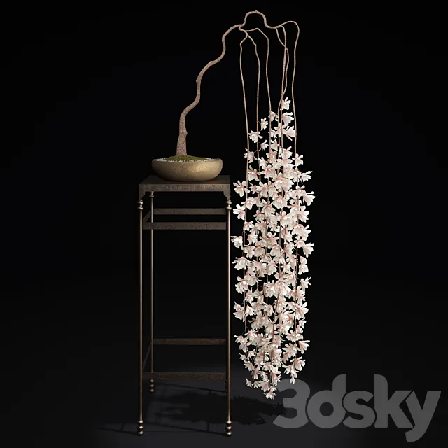 Bonsai-Magnolia 3D Model