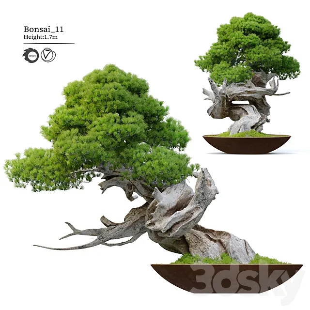 Bonsai plant 11 3D Model