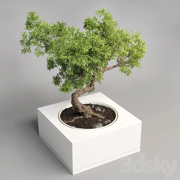 bonsai pot concrete vase 3D Model Free