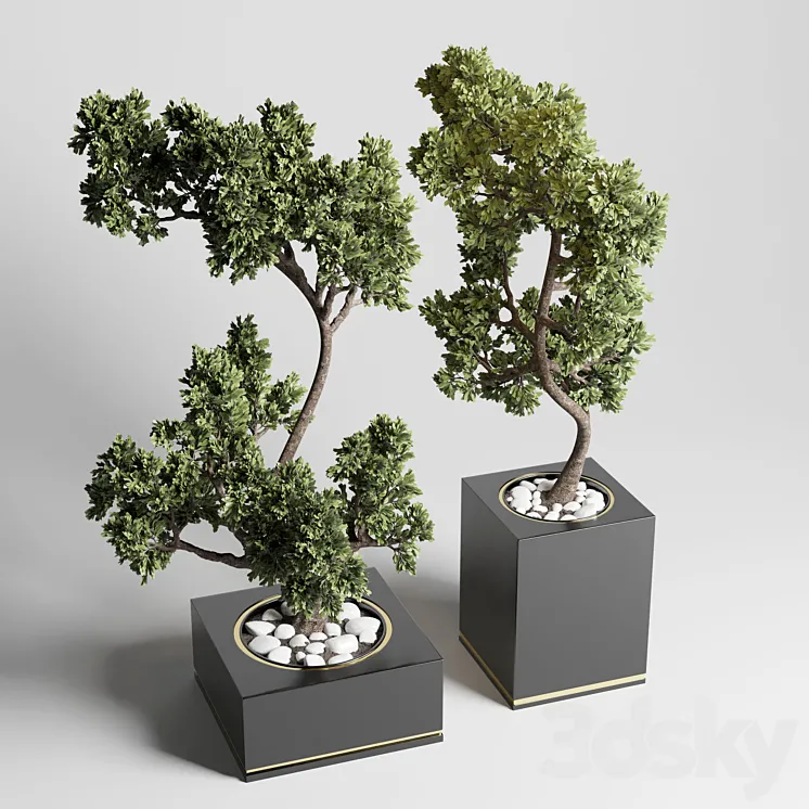 bonsai pot concrete vase pot tree 3D Model Free