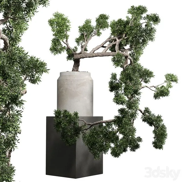 Bonsai tree vase old concrete dirt pot 3D Model