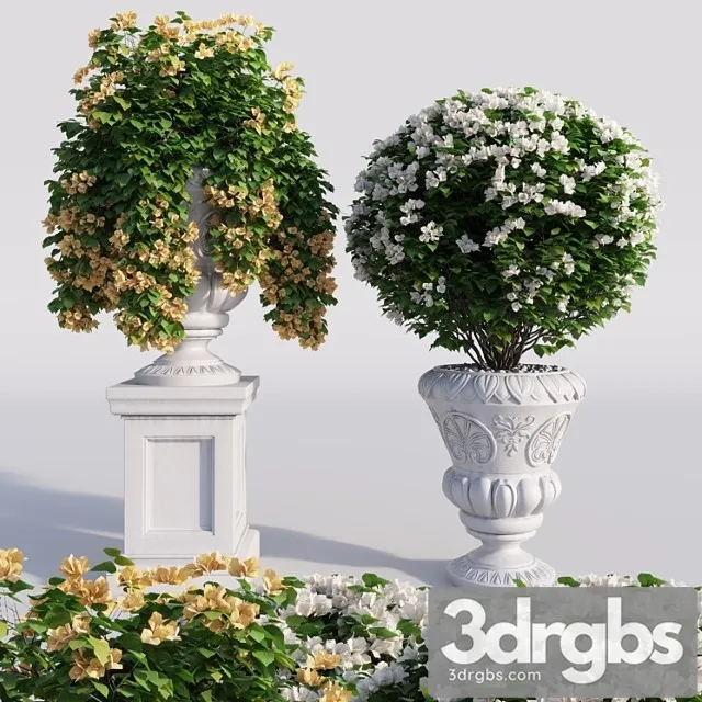 Bougainvillea Planter Set 1 3D Model Free