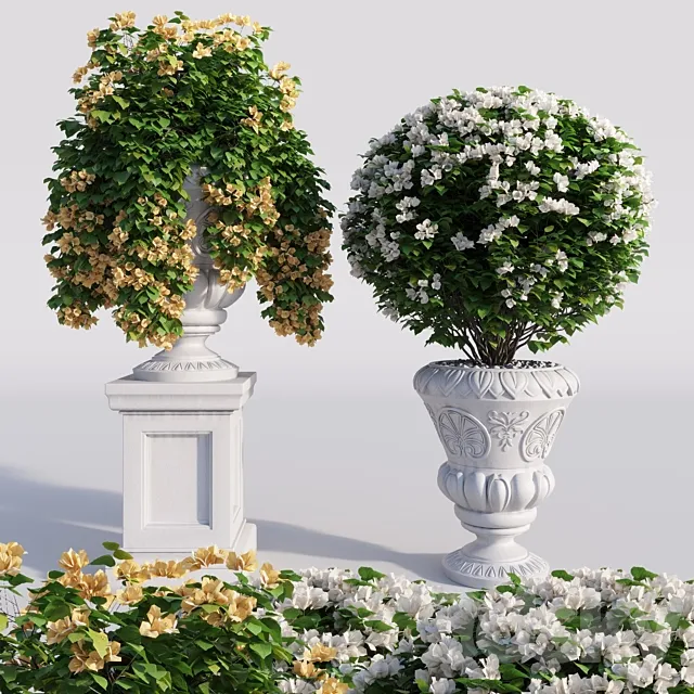 Bougainvillea planter set. 3DModel