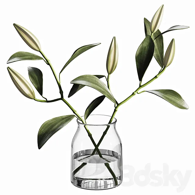 bouquet 01 Free Download