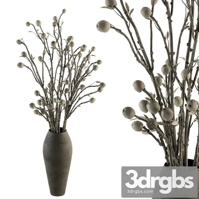 Bouquet 32 Dried Plant Papavet Bouquet 3D Model Free