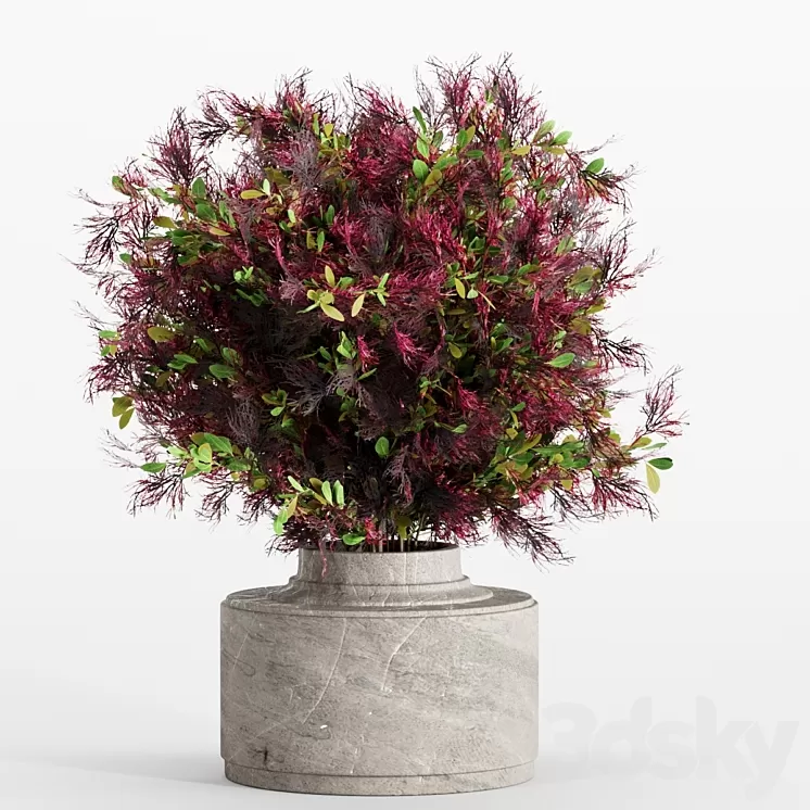 bouquet 7 3D Model Free