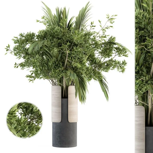 Bouquet Branch In Vase 27 Free Download