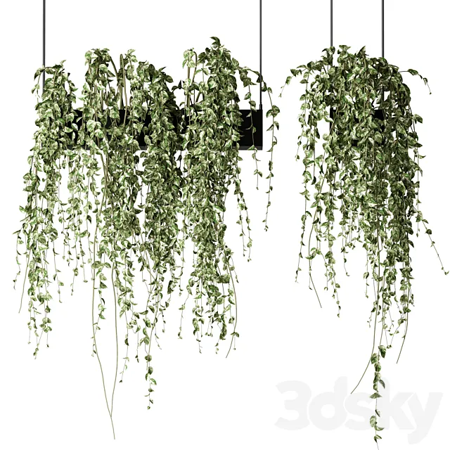 Bouquet Collection 08 - Decorative Hanging Plants 3D Model