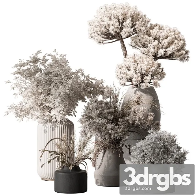 Bouquet Dried Plant Set 105 3D Model Free