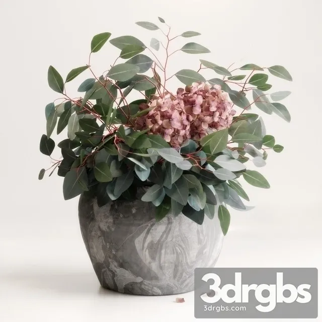 Bouquet Eucalyptus Hydrangea 3D Model Free