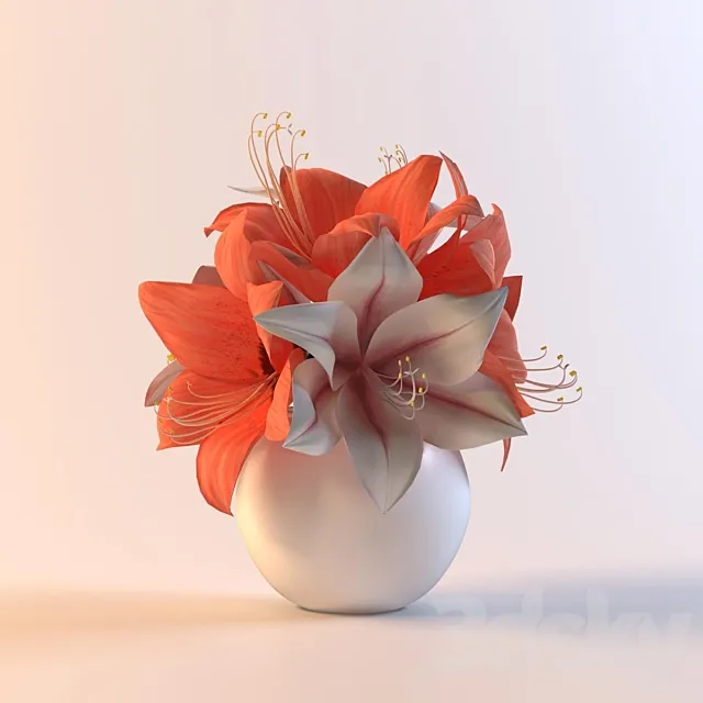 Bouquet gippeastrumov 3DModel