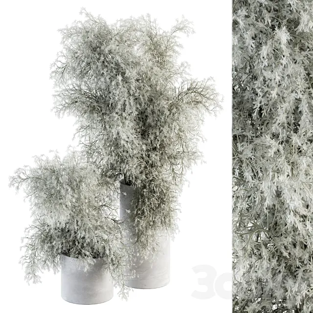 Bouquet - Green Branch in Concrete vase 79 3DModel