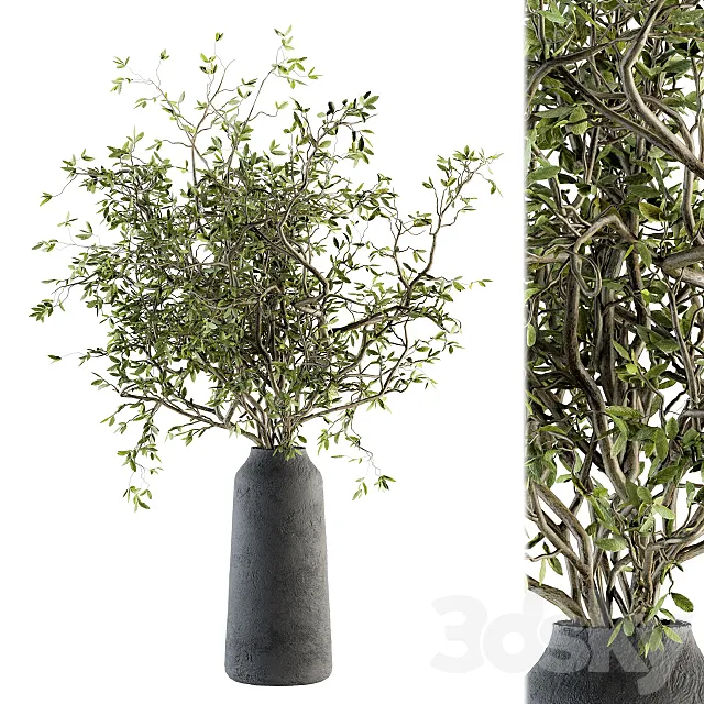Bouquet - Green Branch in vase 40 3D Model