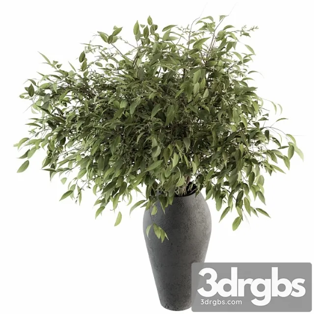Bouquet Green Branch In Vase 45 3D Model Free