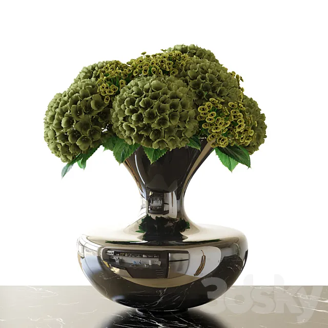 Bouquet \ Hydrangea 3D Model