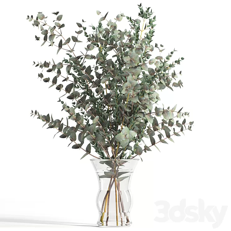 Bouquet of 2 types of eucalyptus