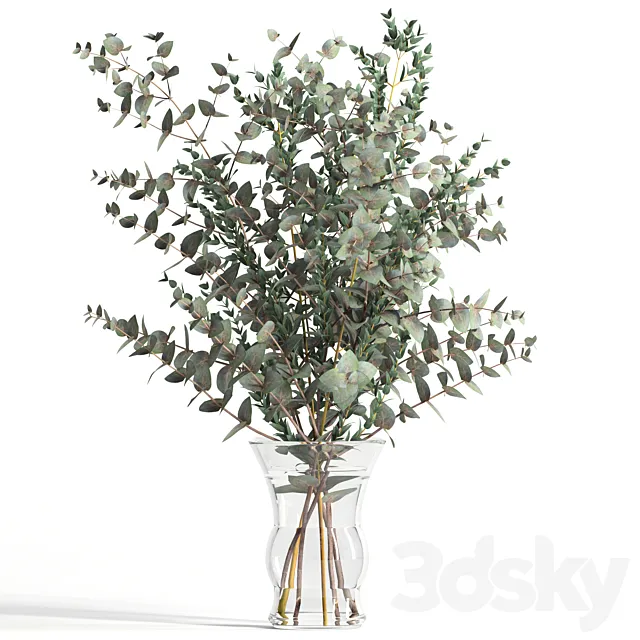 Bouquet of 2 types of eucalyptus 3DModel